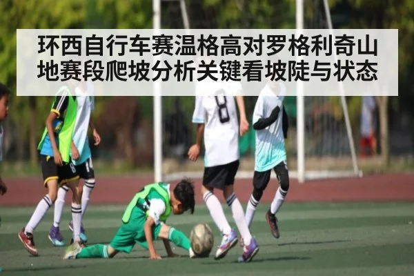 环西自行车赛温格高对罗格利奇山地赛段爬坡分析关键看坡陡与状态